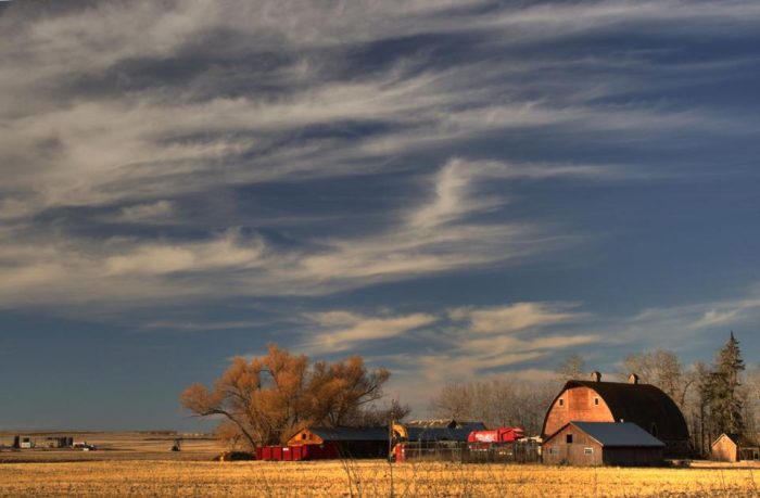 beautiful-fall-afternoon-in-alberta-farm-country-062214a62d621e10 ...